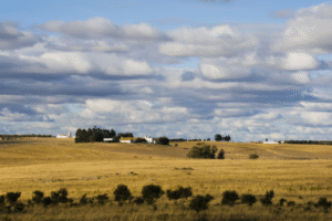 A falsa tese do “desmantelamento dos latifúndios” e a mistificação da questão agrária em Portugal