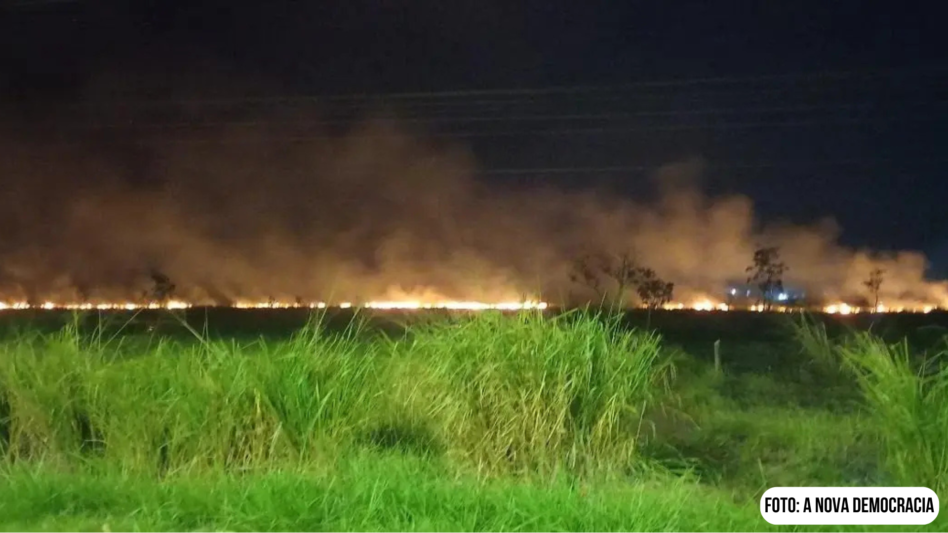 Novo Brasil: Polícia Militar e capangas destroem ocupação camponesa e perseguem um jornalista da AND